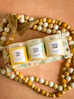 SUGAR SCRUB GIFT BOX -Toasted Coconut, Coastal Waters, Mango Sorbet